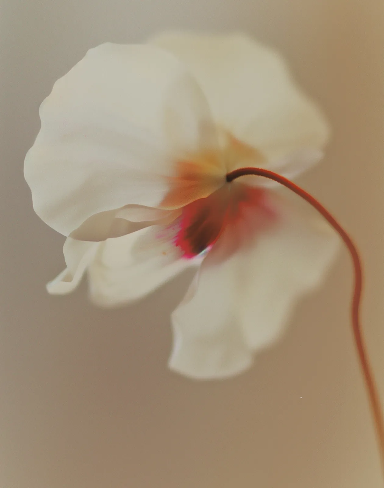 NFTverse – Web3 Marketplace